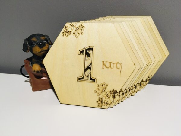 Beebi foto- ja arengukaardid - Image 5