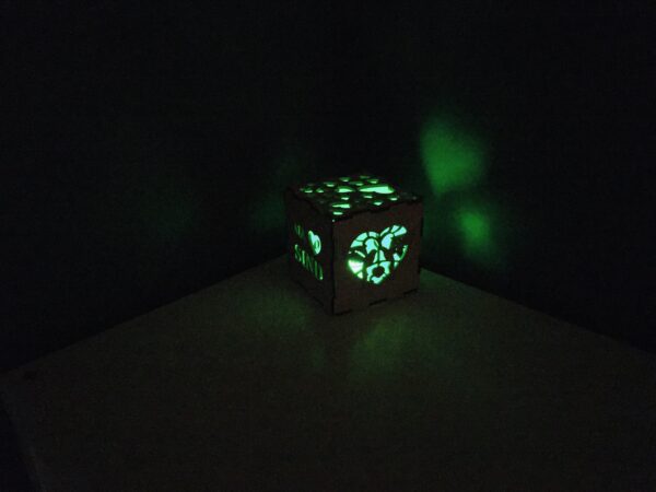 Valguskuubik südamed Led küünlaga - Image 13