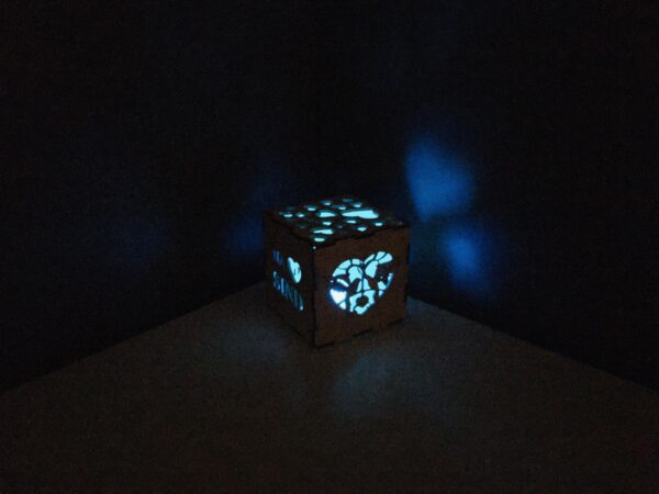 Valguskuubik südamed Led küünlaga - Image 11