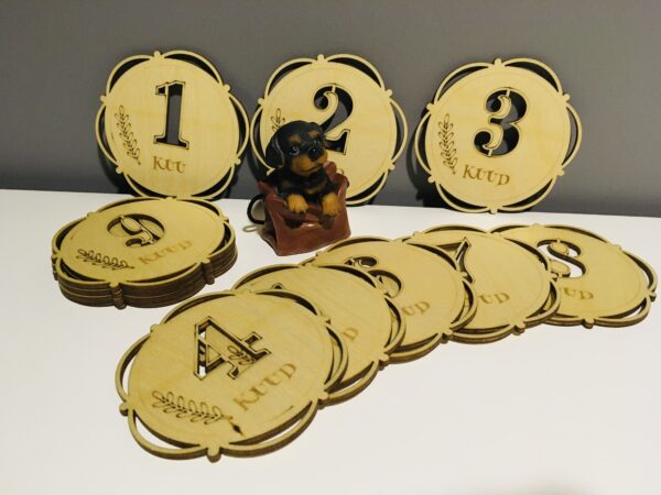 Beebi foto- ja arengukaardid - Image 4