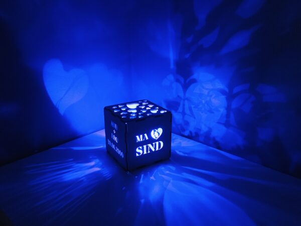 Valguskuubik südamed - Image 8