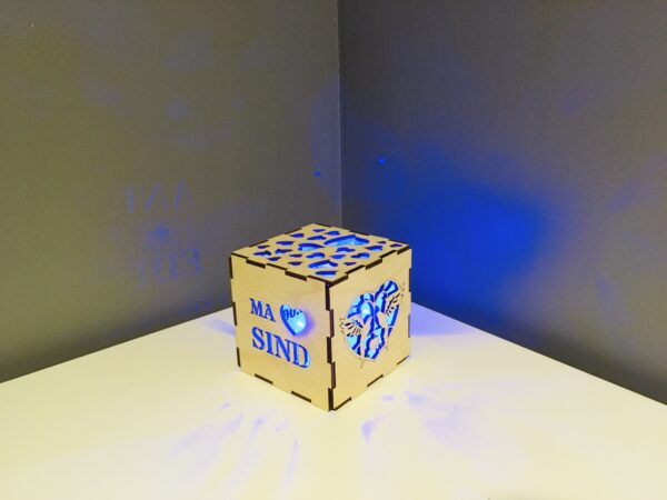 Valguskuubik südamed - Image 5