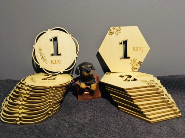 Beebi foto- ja arengukaardid - Image 8