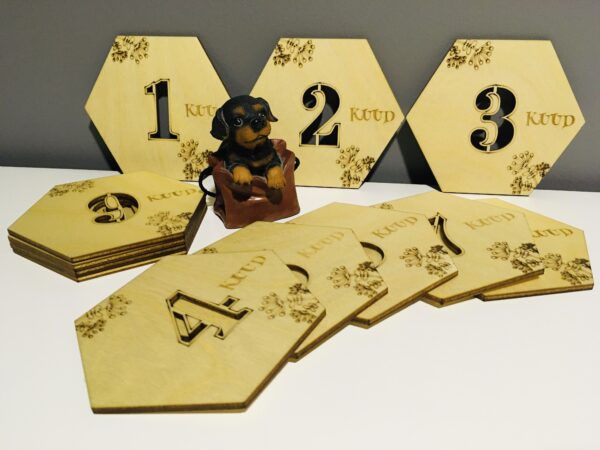 Beebi foto- ja arengukaardid - Image 7