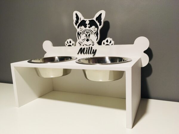 Lemmiklooma söögialus värvitud - Image 4