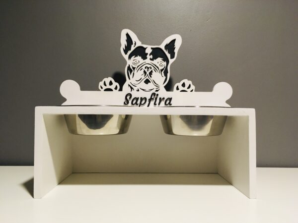 Lemmiklooma söögialus värvitud